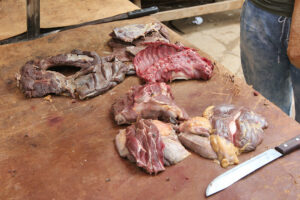 Wild meat food systems in the Amazon