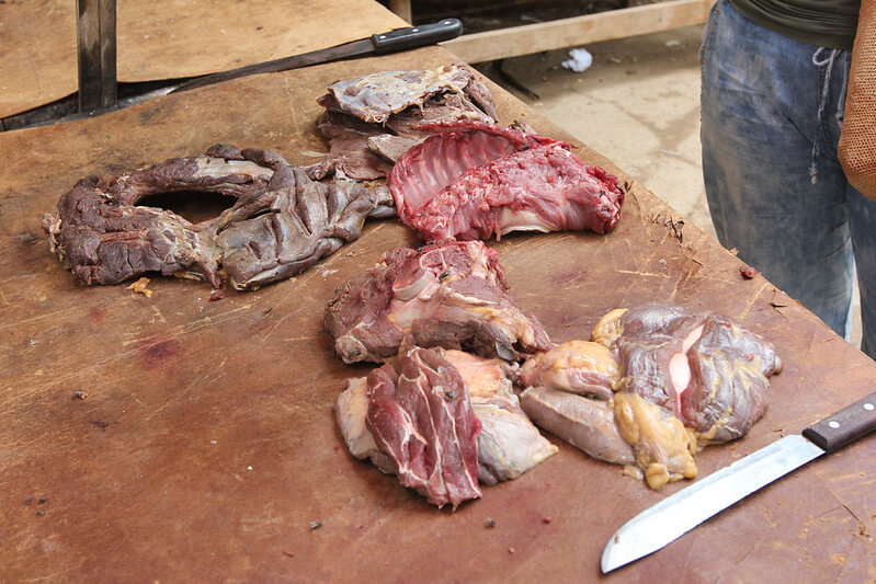 Wild meat food systems in the Amazon