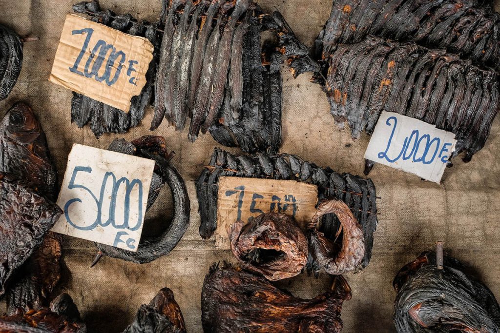 Consumption and trade of wild animals in West and Central Africa