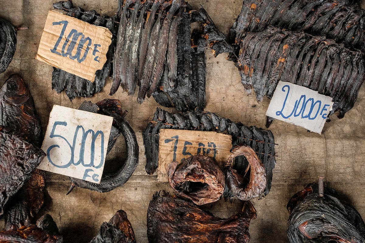 Consumption and trade of wild animals in West and Central Africa