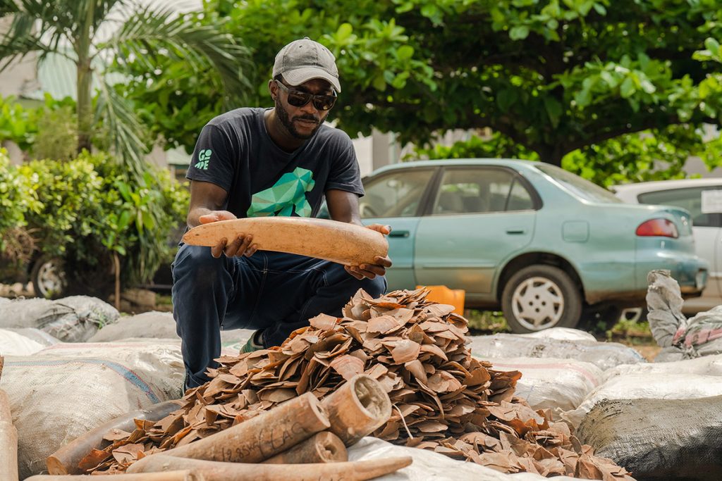 Impact of the monkeypox wildlife trading ban in Nigeria