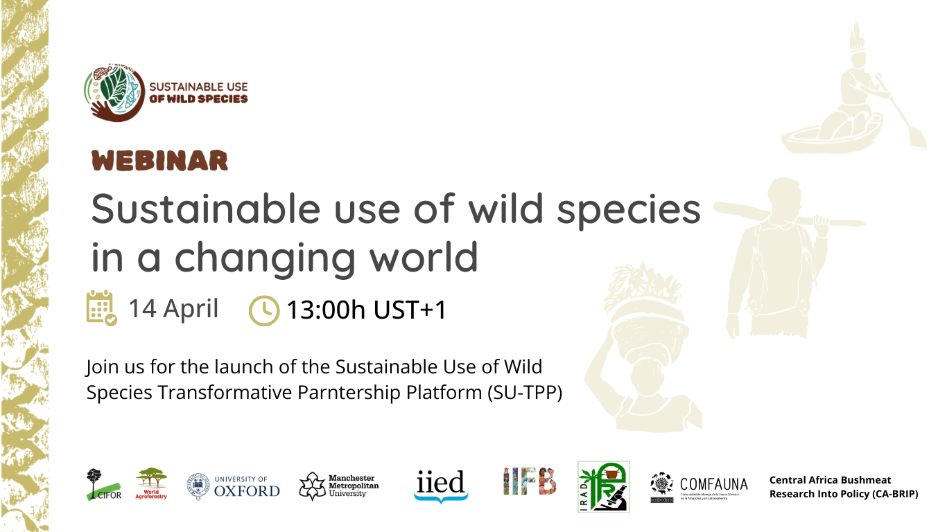 Save the date! Official launch of the SU-TPP