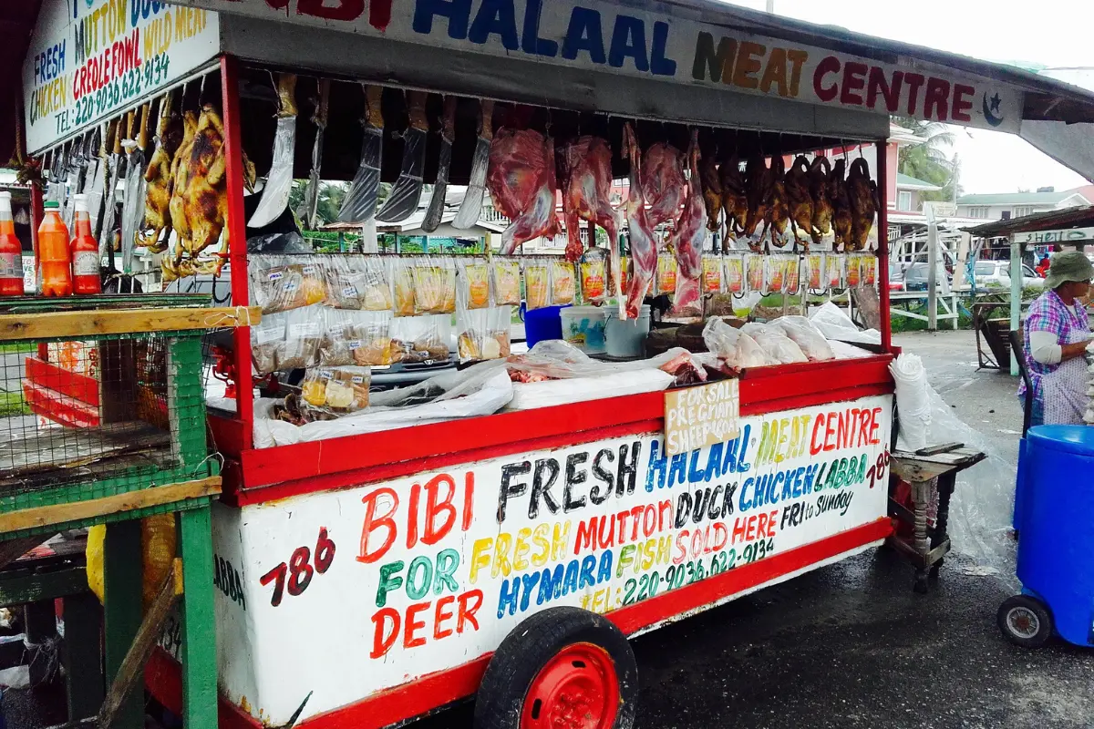 USAID Wild Meat Toolkit finds new virtual home
