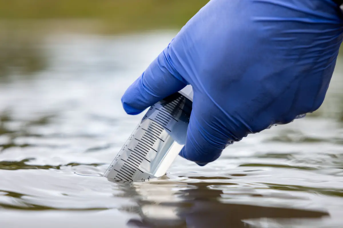 How smarter biodiversity monitoring is helping protect the ecosystems people rely on
