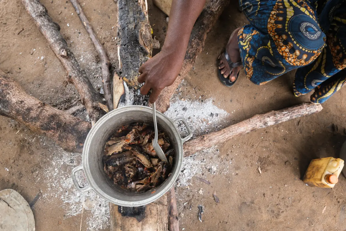 More people are eating wild meat across Central Africa, raising urgency for sustainable wildlife management