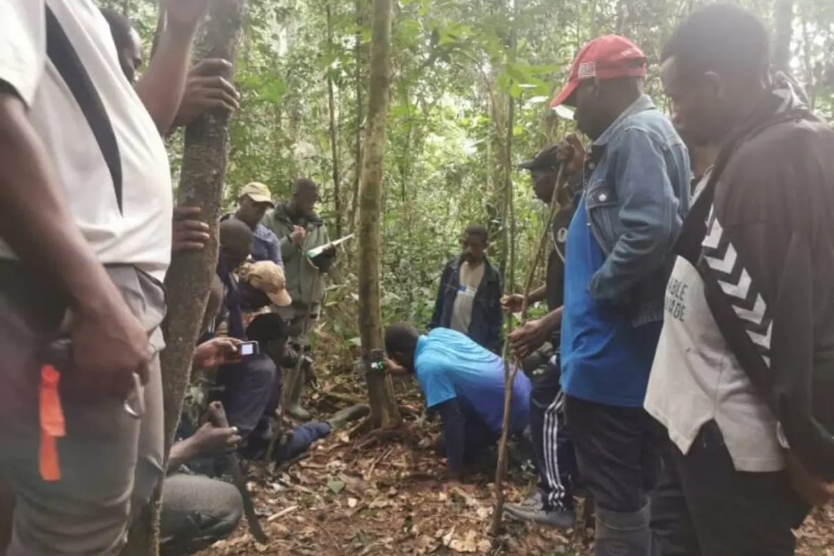 Field agents receive hands-on training in camera trap installation and biodiversity monitoring during a WildMon workshop in Cameroon’s Mintom landscape. Photo by WildMon.