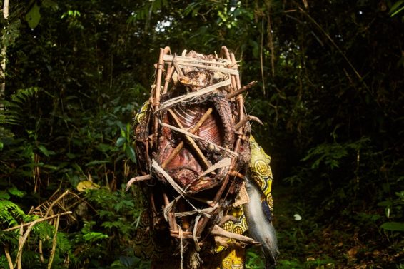 A hunter in the forest carries his booty on his kinga. Photo by Vivian Anogo / CIFOR-ICRAF