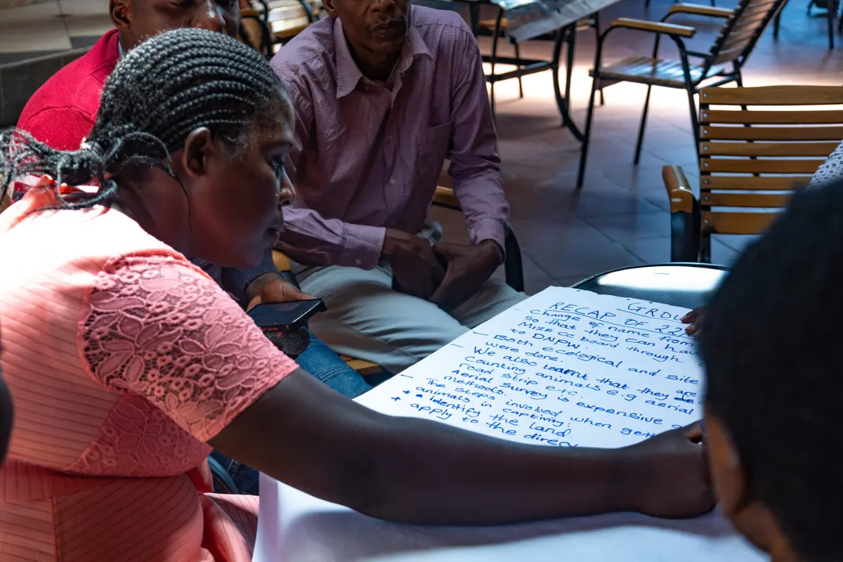 Training and cooperatives are transforming livelihoods in Zambia