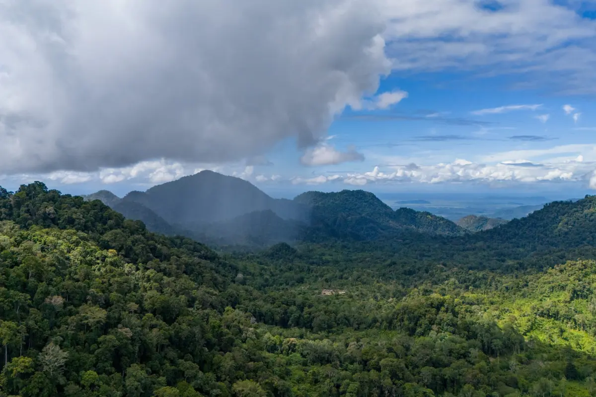 Mapping biodiversity on Papua New Guinea’s Managalas Plateau